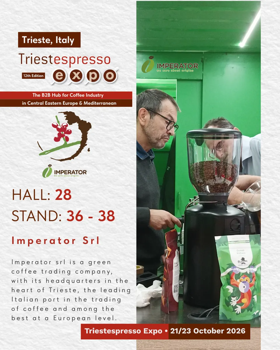 Imperator Srl card, with logo and a photo